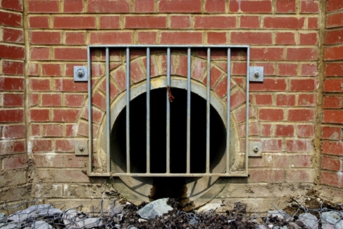 다뚜러김반장 PC 이미지 5673484